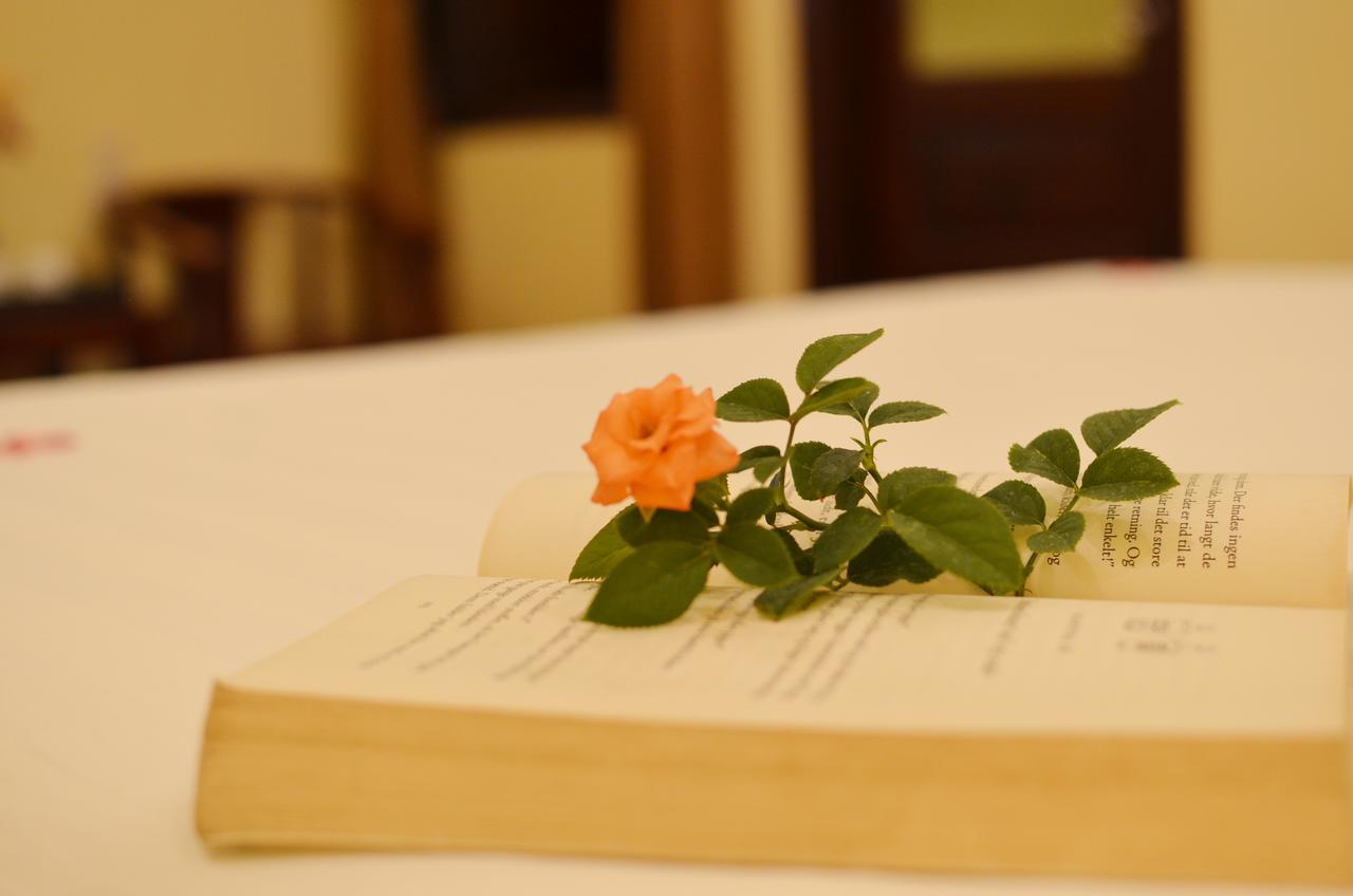 Panda Garden Homestay Hội An Buitenkant foto