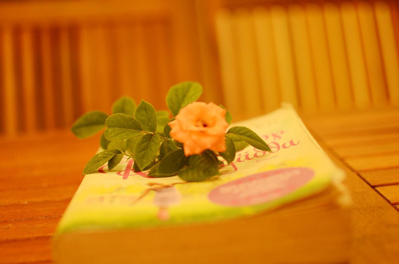 Panda Garden Homestay Hội An Buitenkant foto